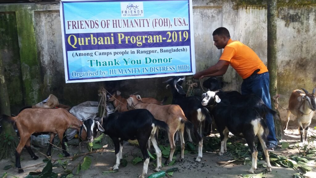 Qurbani Program Goats-2019